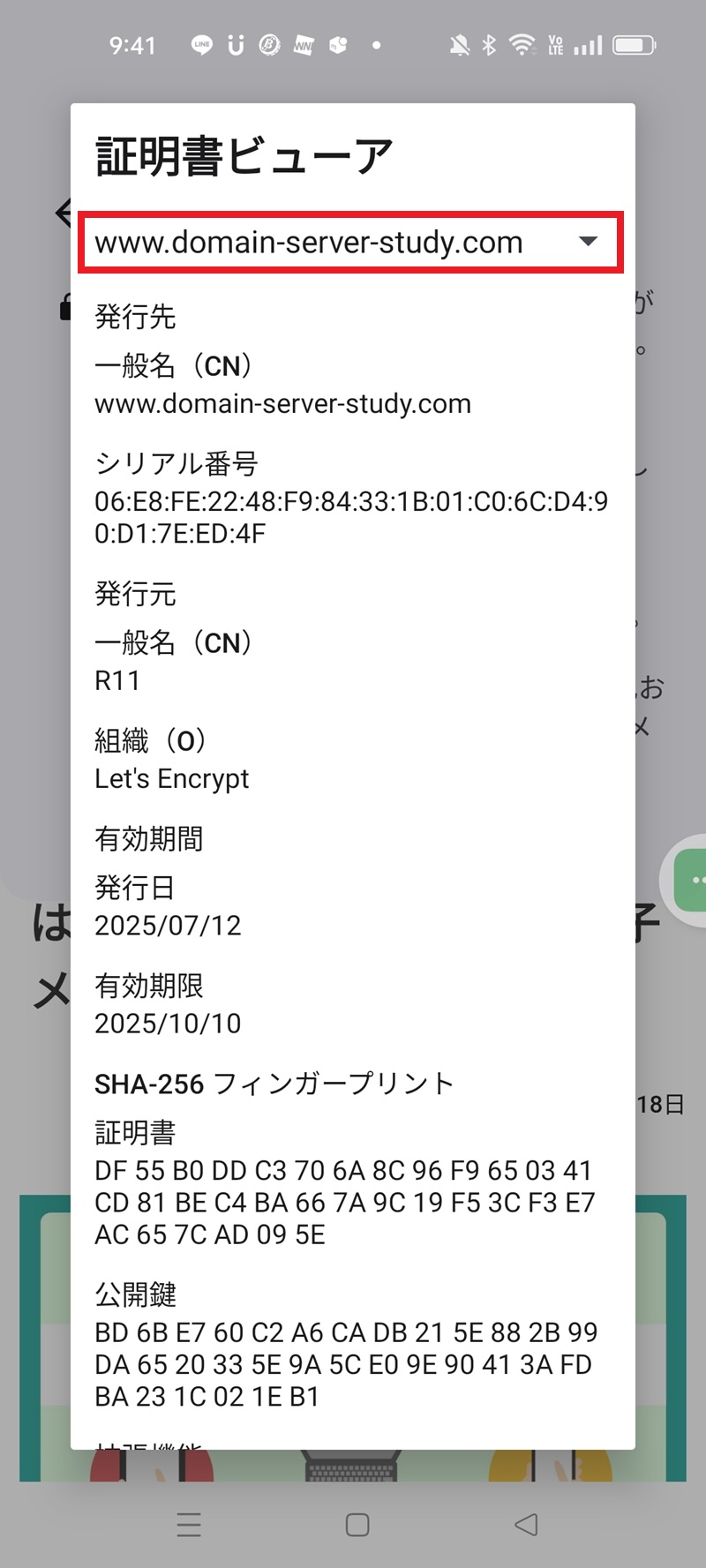 スマホ http 確認
